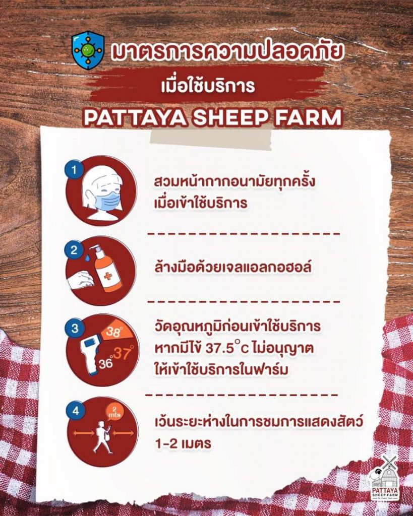 Pattaya Sheep Farm-มาตรการความปลอดภัย