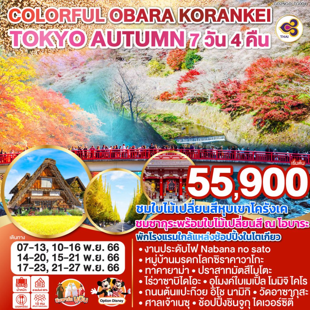 IG04-JPN-COLORFUL AUTUMN-GO2NGO-TG004-21NOV2023-PE230705