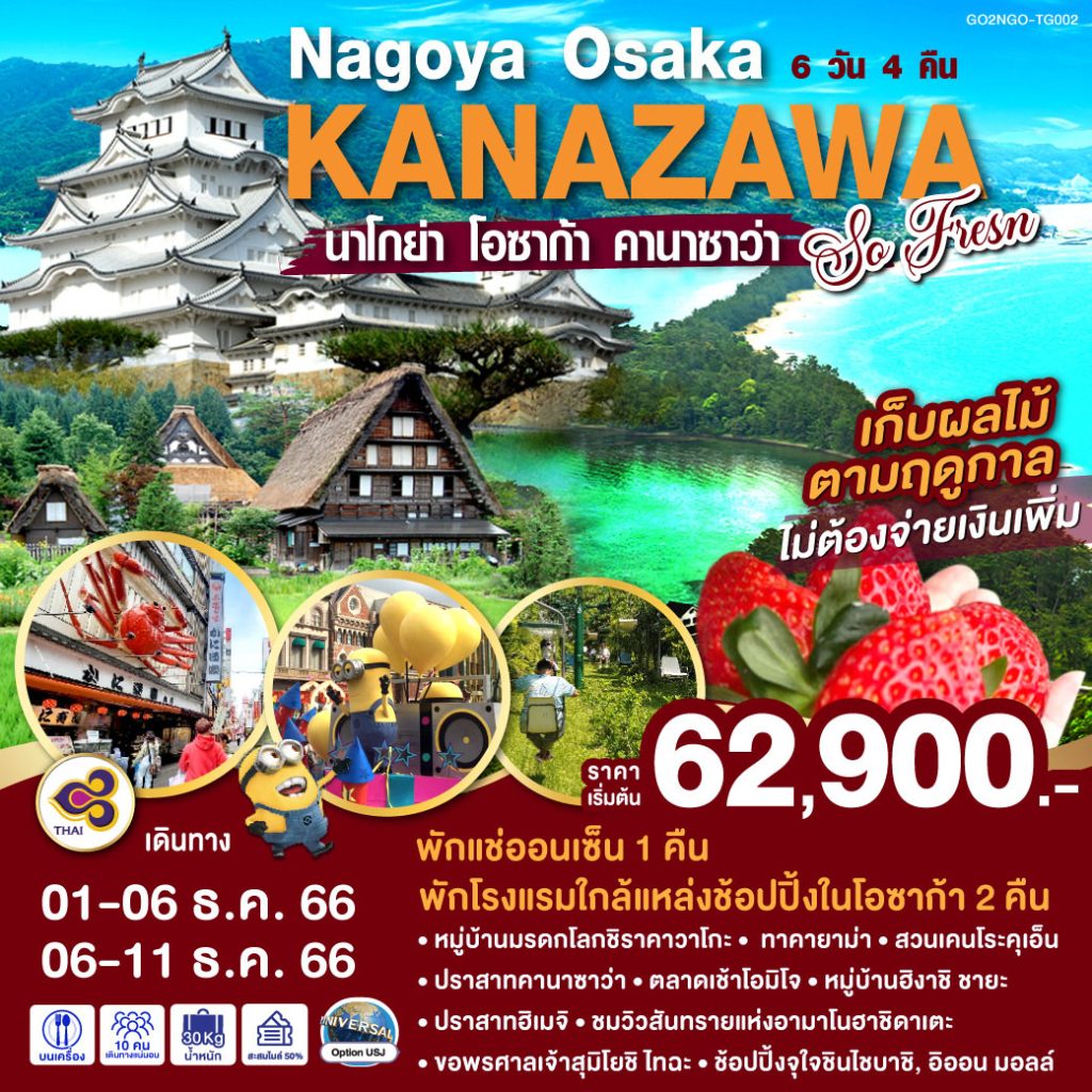 IG04-JPN-SO FRESH-GO2NGO-TG002-06DEC2023-PE230704