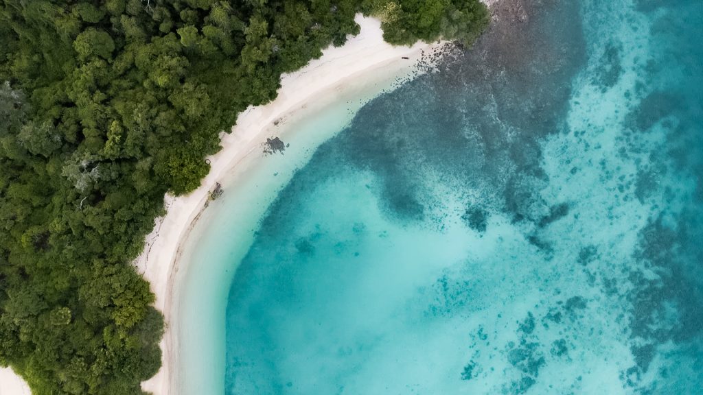 dji_fly_20240820_165310_0_1724147590574_photo_low_quality