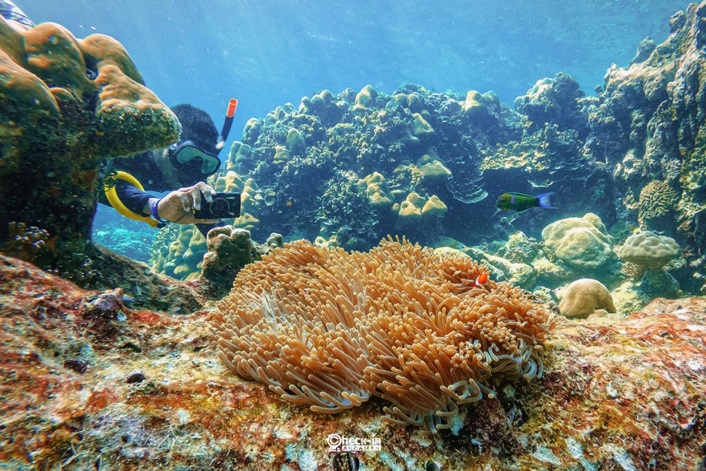 C:DCIM100GOPROGOPR0872.GPR