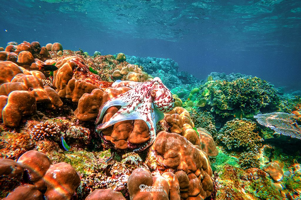 C:DCIM100GOPROGOPR0872.GPR