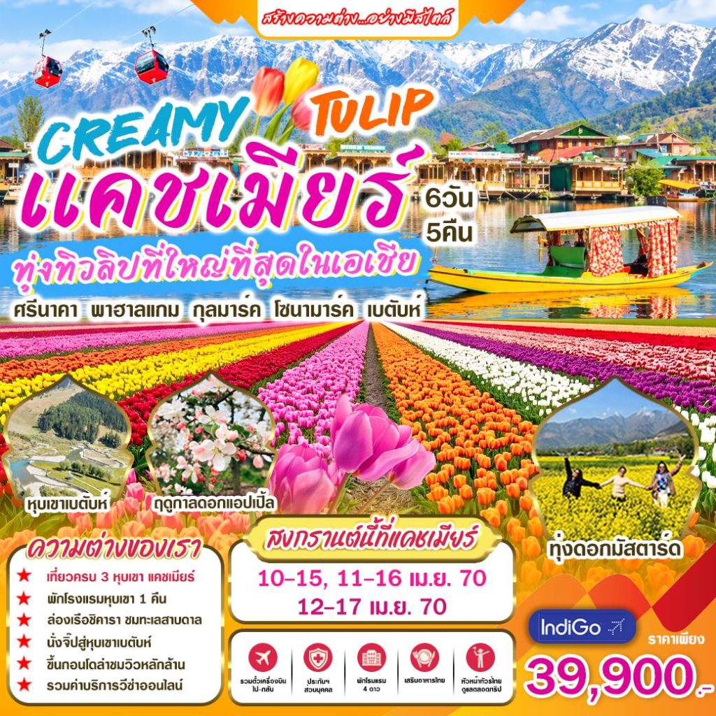 IH02-IND-Kashmir-(Tulip)-12Apr2027-A261024