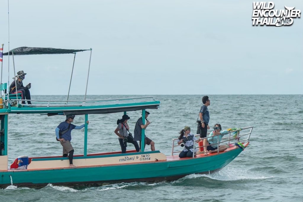 LINE_ALBUM_รูปเรือลำเล็ก KNY_250606_2