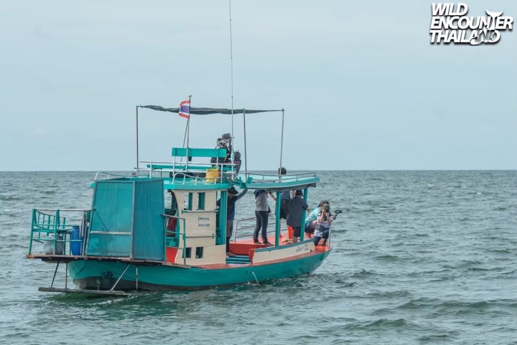 LINE_ALBUM_รูปเรือลำเล็ก KNY_250606_3