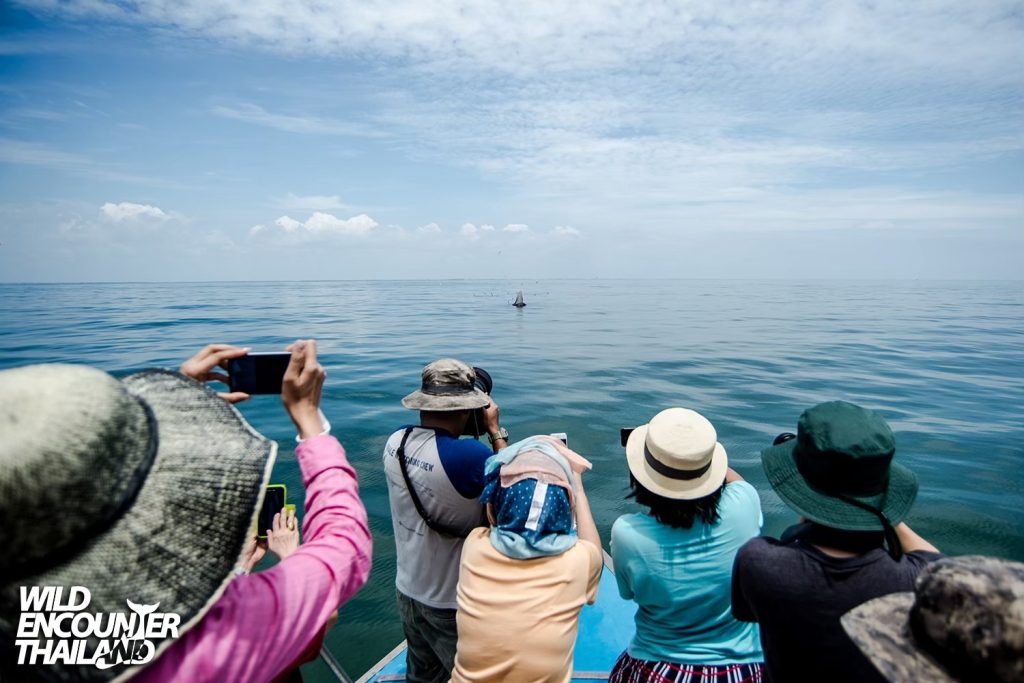 LINE_ALBUM_อัลบั้มบรรยากาศดูวาฬเรือ KNY_250606_13
